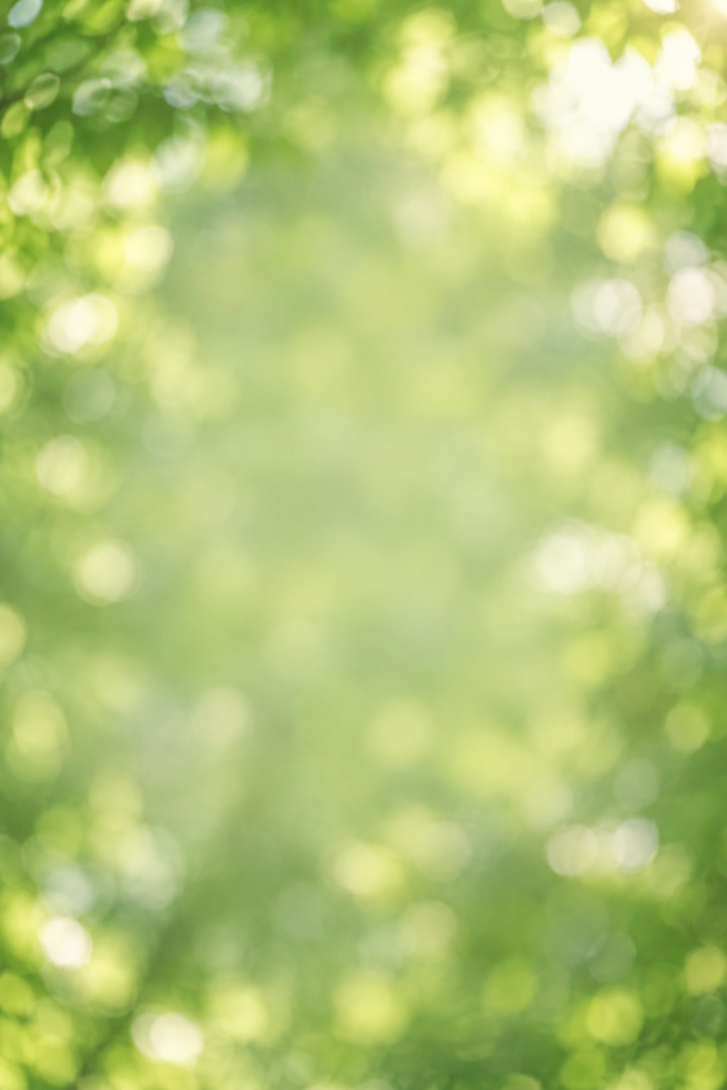 遺影の背景素材「木々の緑」（人物なし）